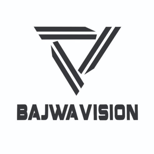 BAJWA VISION leading manufacturer and exporter