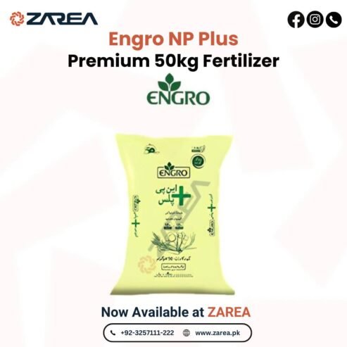 Engro NP Plus 50kg | Available at Zarea Limited