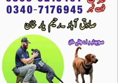 1000050046