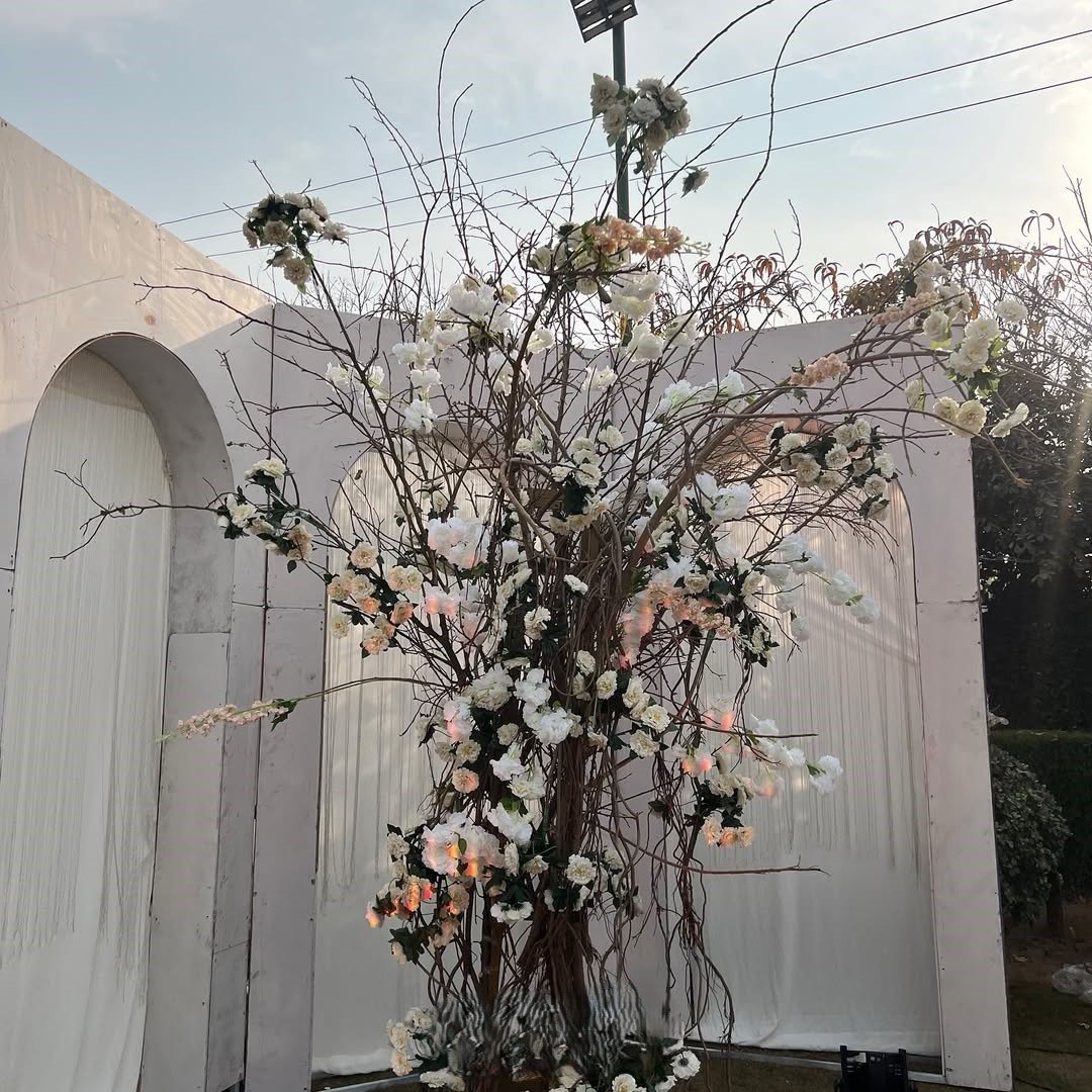 The Wedders – Event Management Company in Karachi