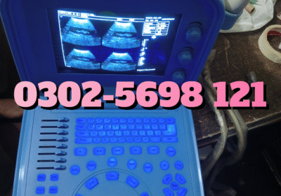 1747172088388