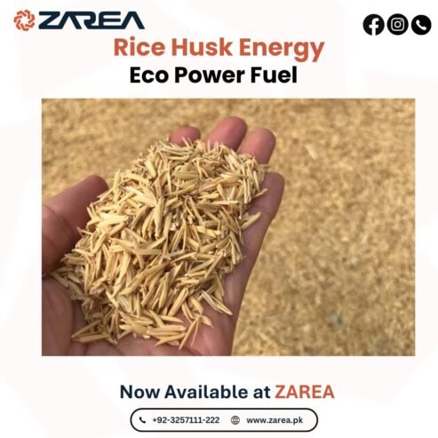 Rice Husk Available at Zarea Limited |
