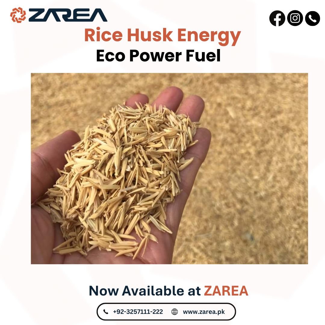 Rice Husk Available at Zarea Limited |