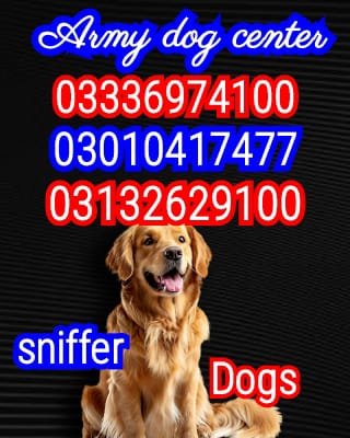 Army dog center KPK 03336974100