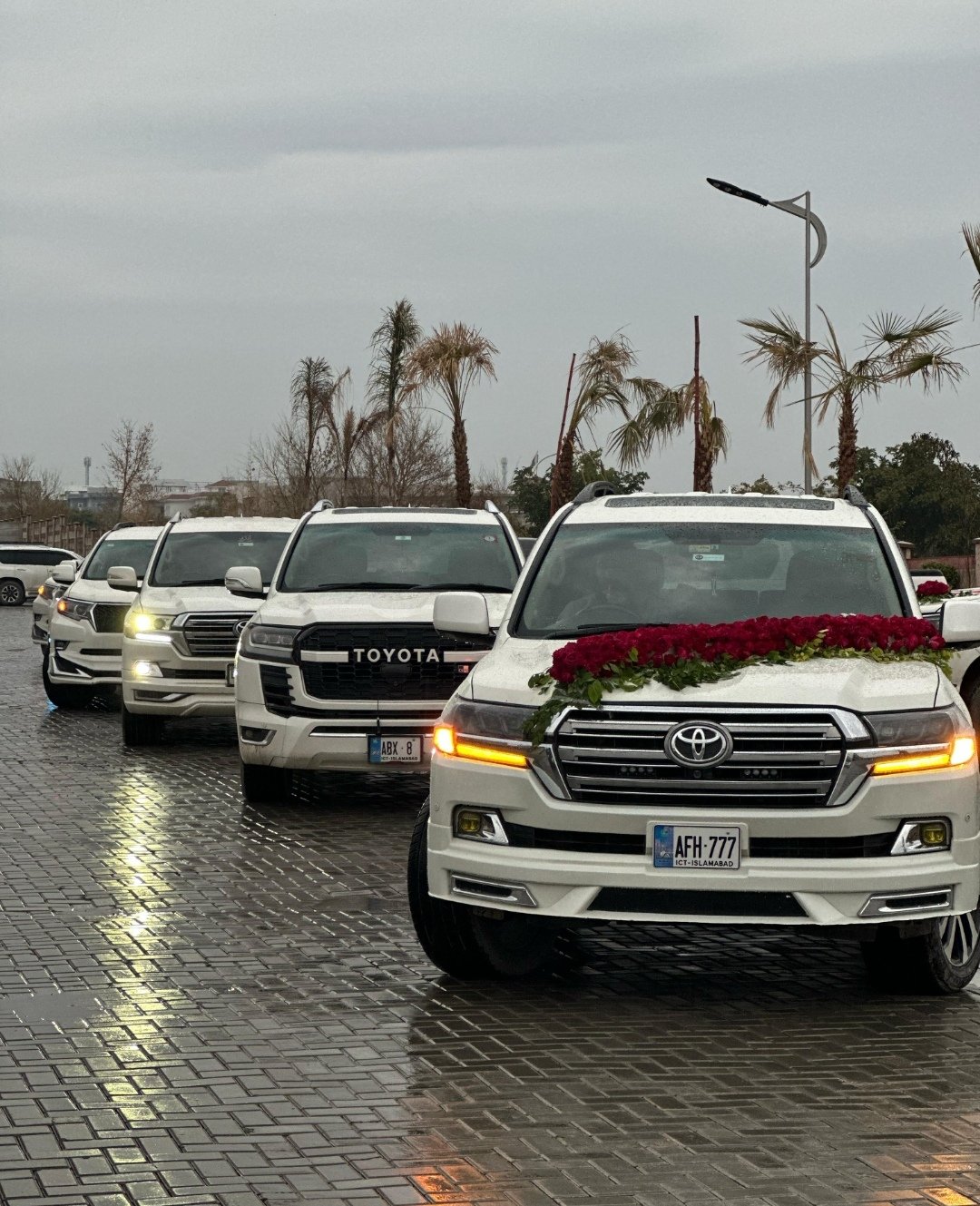 Luxury cars rental service