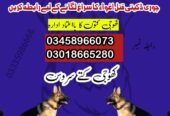 Army Dog Center Attock 03458966073 | Khoji Dogs Attock Cantt