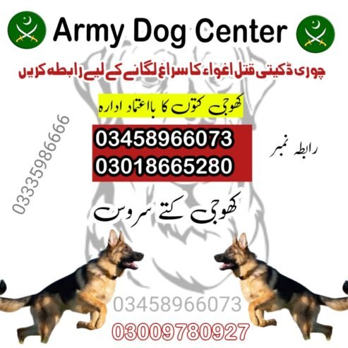 Army Dog Center Attock 03458966073 | Khoji Dogs Attock Cantt