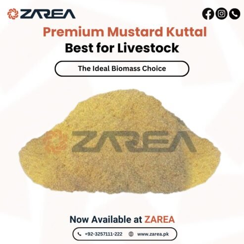 Mustard Kuttal (Agri Biomass) Available at Zarea