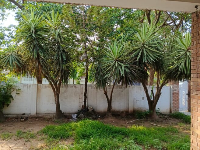 Setup of four executive Room for single person only for Rent