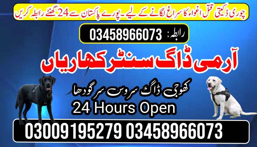 Khoji Dog Center Chakwal 03458966073 | کھوجی ڈاگ
