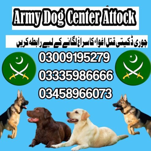 Army Dog Center Attock 03458966073 | Khoji Dogs Attock Cantt