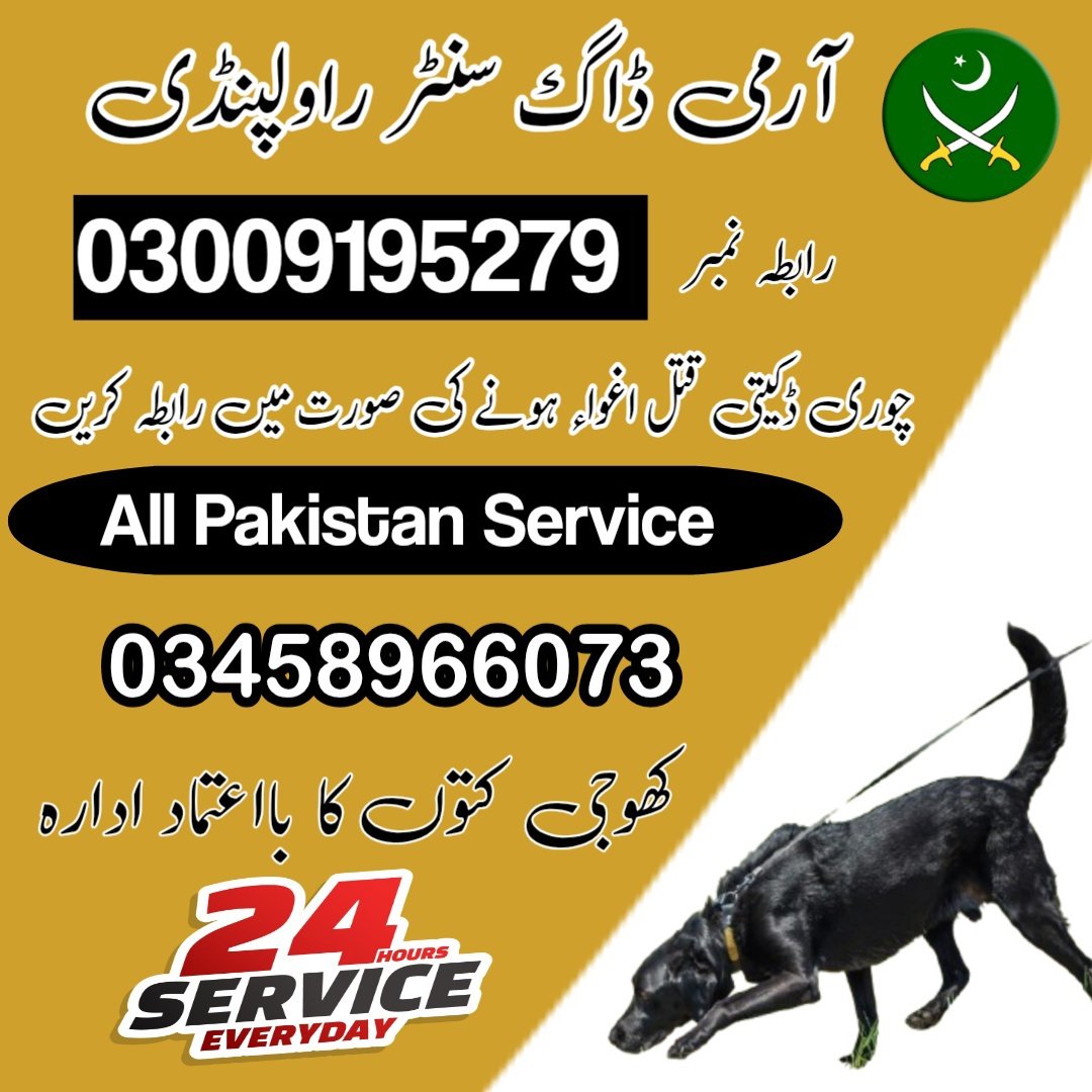 Army Dog Center Rawalpindi 03459033016! KHOJI DOG RAWALPINDI