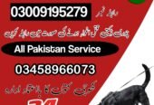 Army Dog Center Abbottabad 03005373788 (کھوجی کتے) | Khoji D
