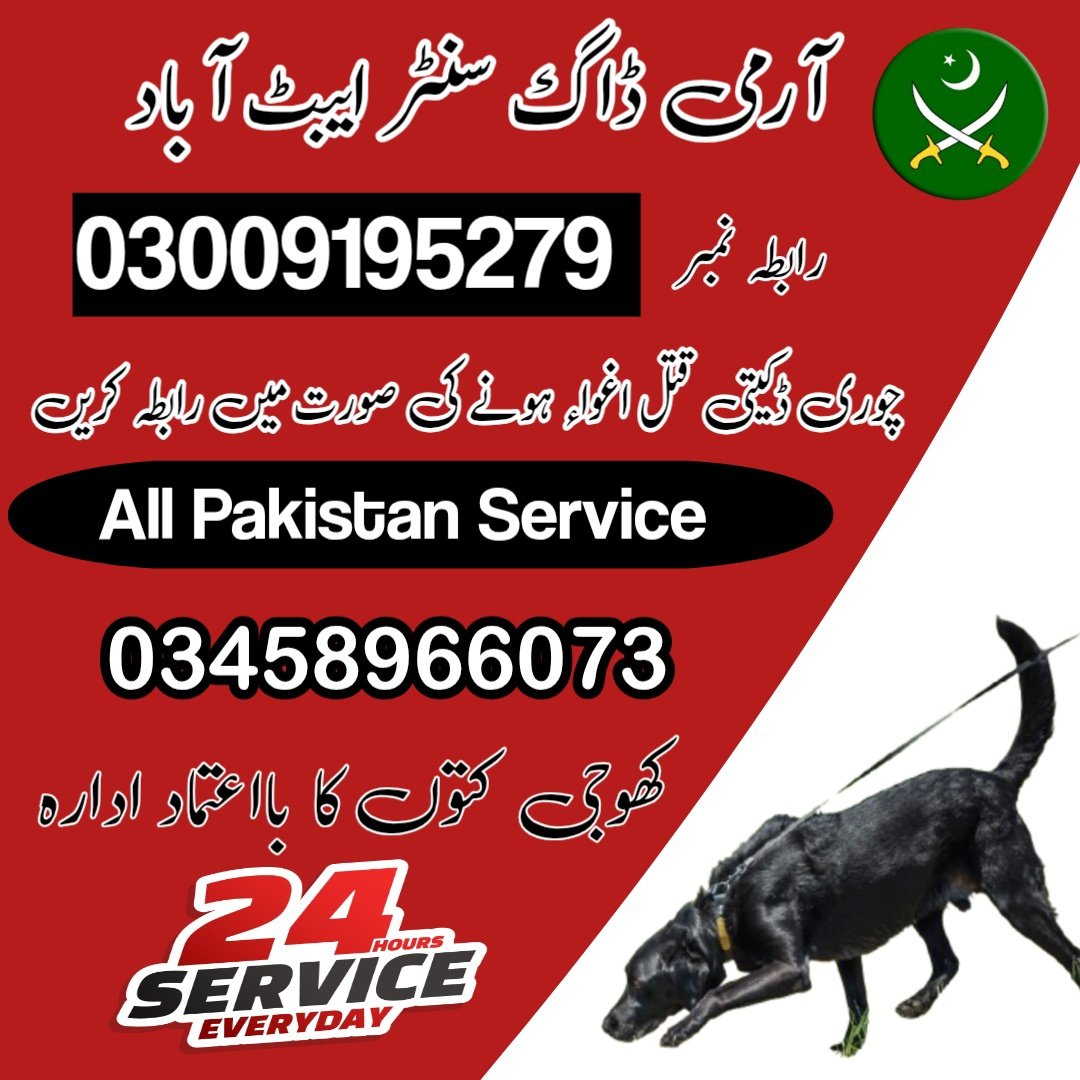 Army Dog Center Abbottabad 03005373788 (کھوجی کتے) | Khoji D