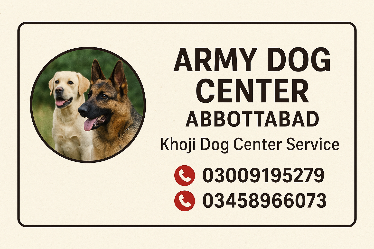 Army Dog Center Abbottabad 03005373788 (کھوجی کتے) | Khoji D