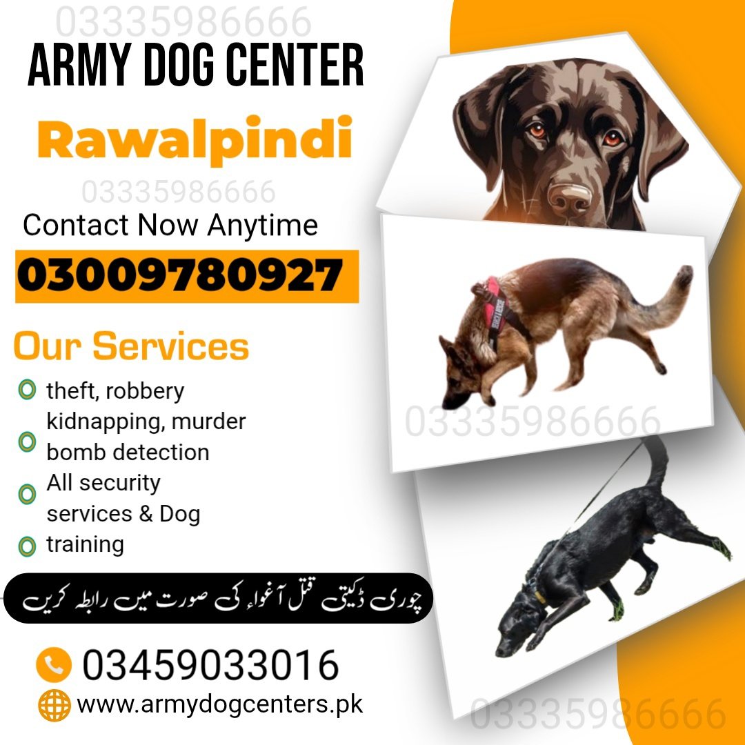 Army Dog Center Rawalpindi 03459033016! KHOJI DOG RAWALPINDI