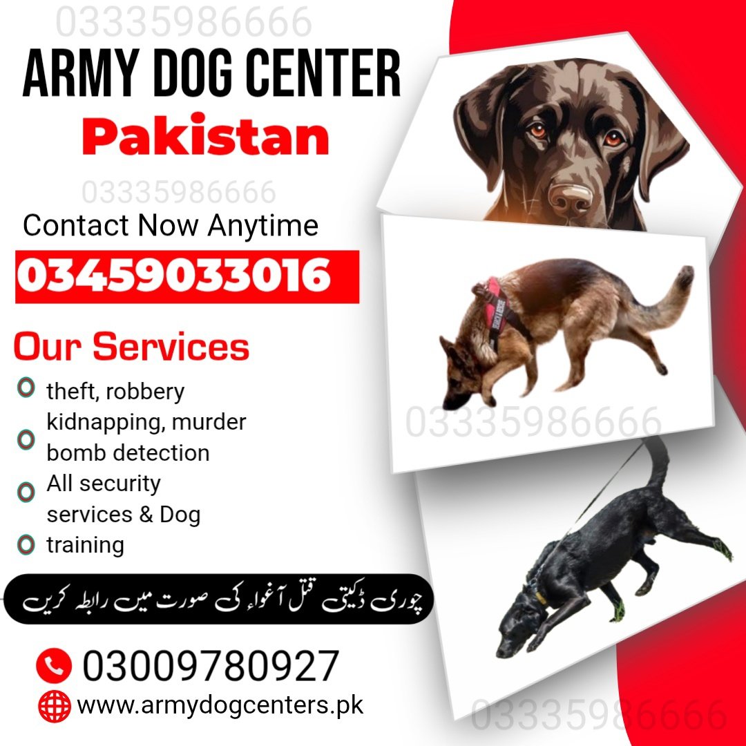 Army Dog Center Abbottabad 03005373788 (کھوجی کتے) | Khoji D