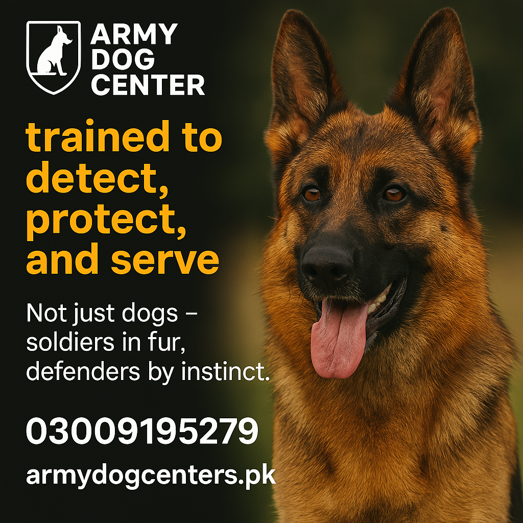 ARMY DOG CENTER MARDAN 03459033016 | KHOJI DOG IN MARDAN