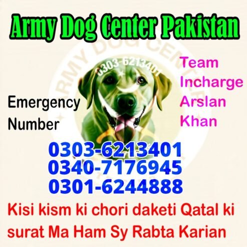 Army Dog Center Abbottabad 03036213401 Khoji Dogs Abbottabad