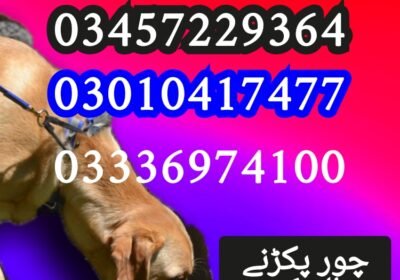 1750305918418