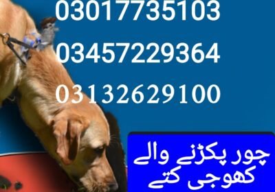 1750648709668