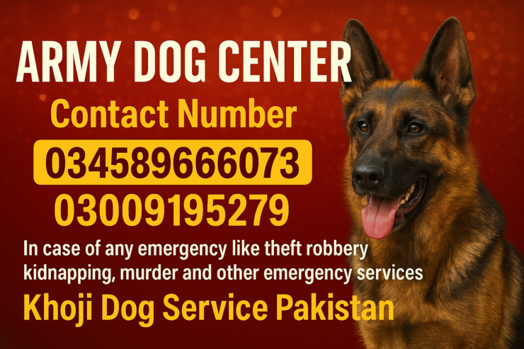 Army Dog Center Peshawar 03458966073 (K9 khoji dog peshawar)