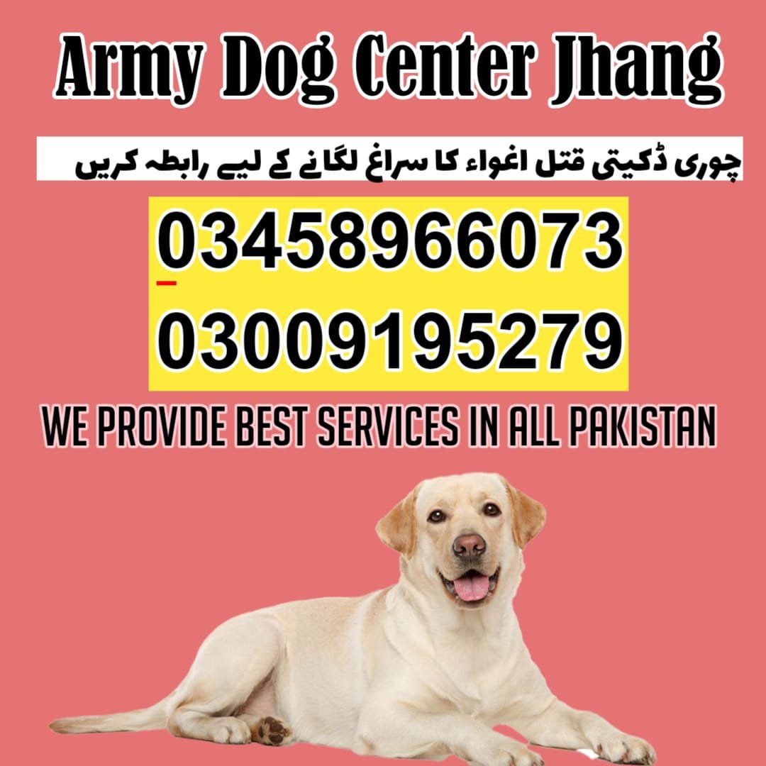 Khoji Dog Center Jhang 03005373788 (کھوجی کتے)