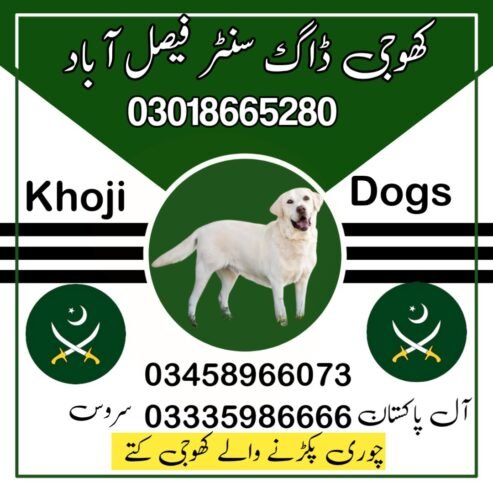 Army Dog Center Jhelum 03458966073 (کھوجی کتے) | Khoji Dogs Contact