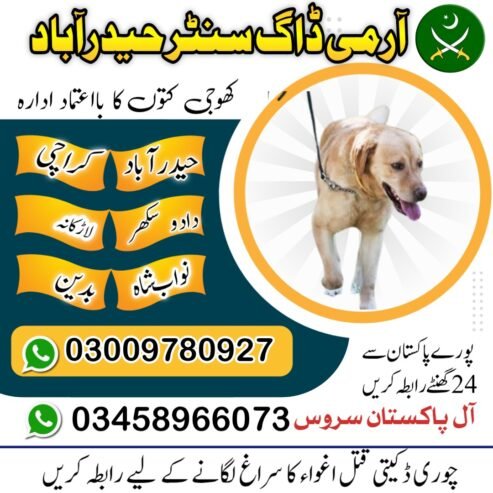 Army Dog Center Jhelum 03458966073 (کھوجی کتے) | Khoji Dogs Contact