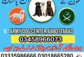 Army dog center 03009195279