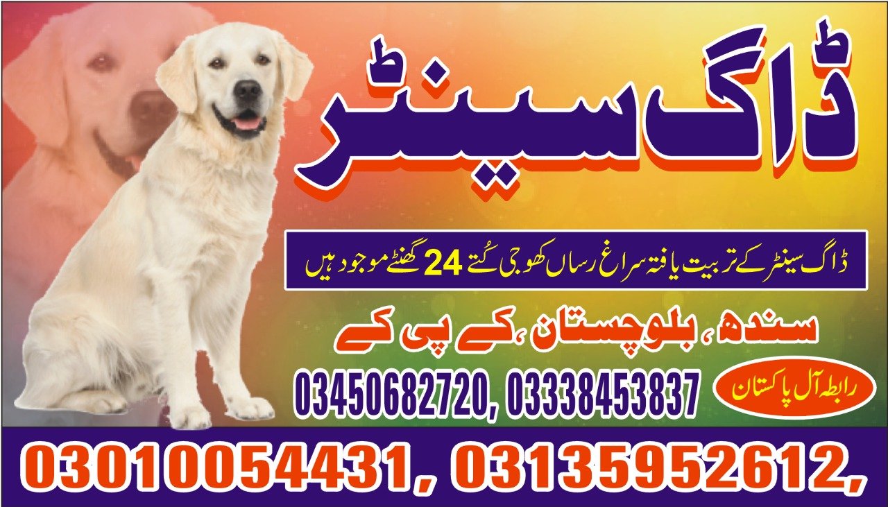 Army Dog Center 03010054431