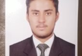 Ali Hassan Faisal | SEO Expert