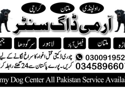 army-dog-center-1