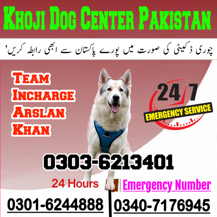 Army Dog Center Lahore 03016244888 khoji Dogs Lahore