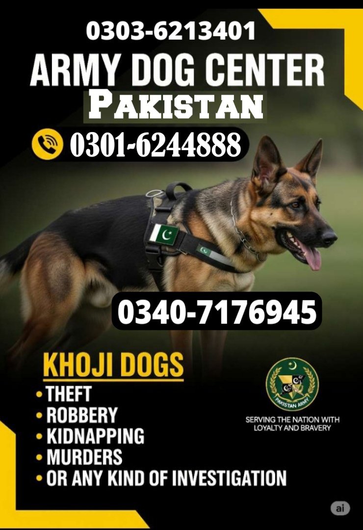 Army Dog Center Abbottabad 03016244888 khoji Dogs Abbottabad