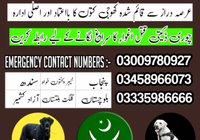 Army-dog-center-rawalpindi-1