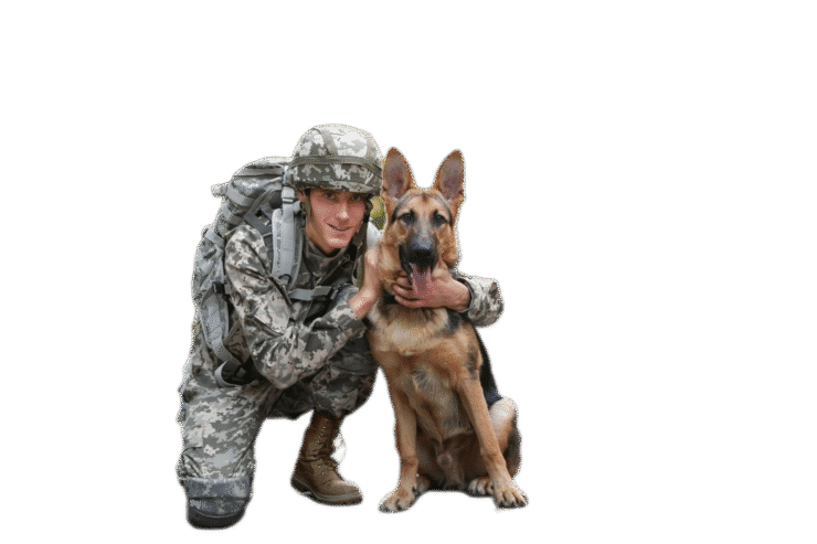 Dog Center Multan Phone Number 0300-7713578