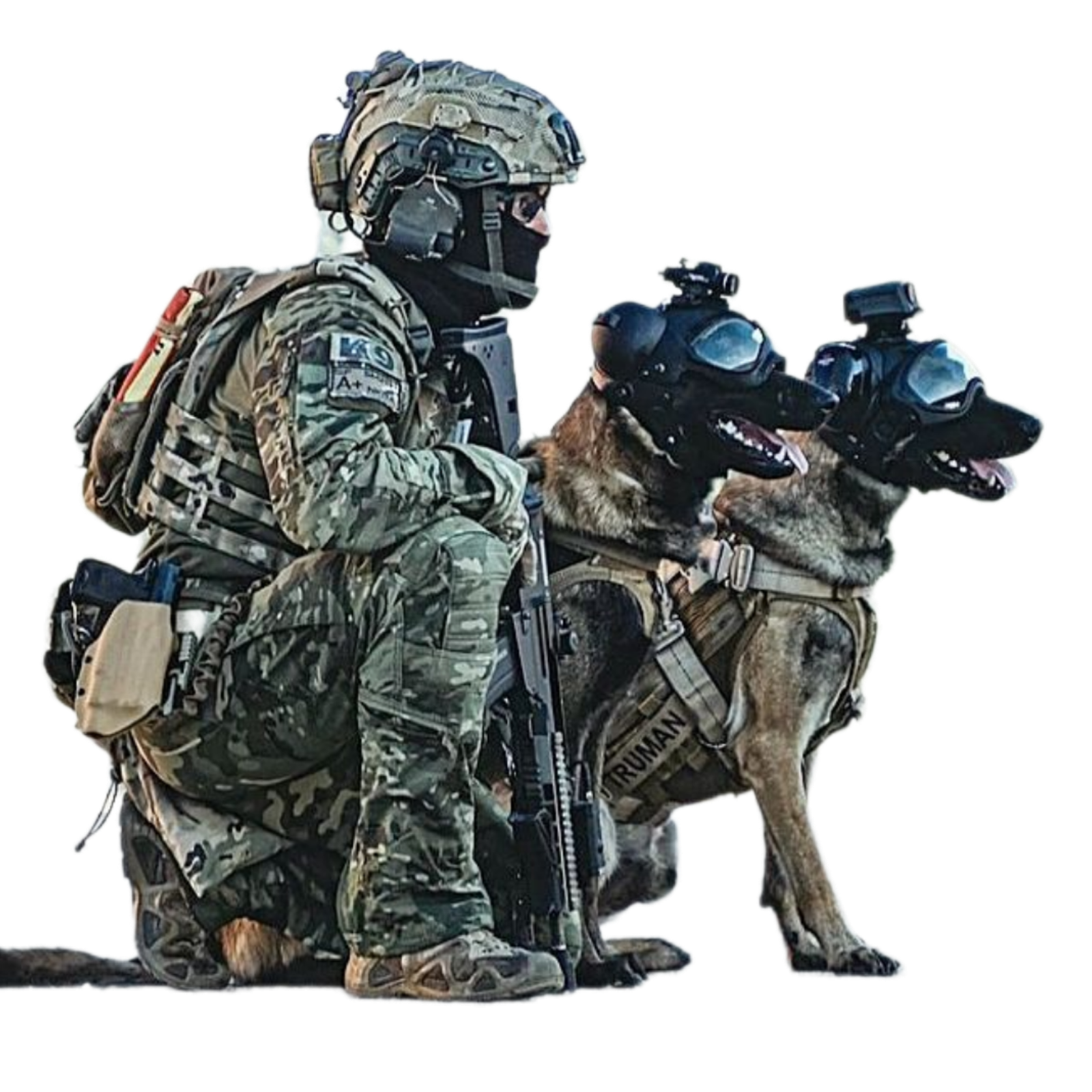 Khoji Dog Okara – 0300-7713578 – Khoji Kutta Contact Number