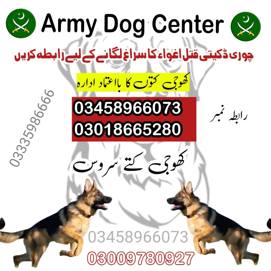 Army dog center sindh 03458966073