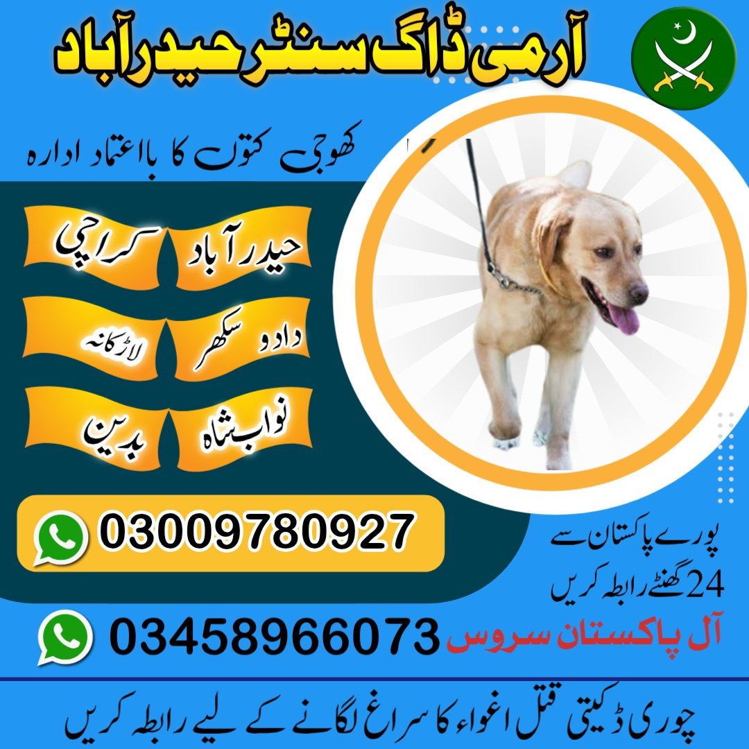 Army dog center sindh 03458966073