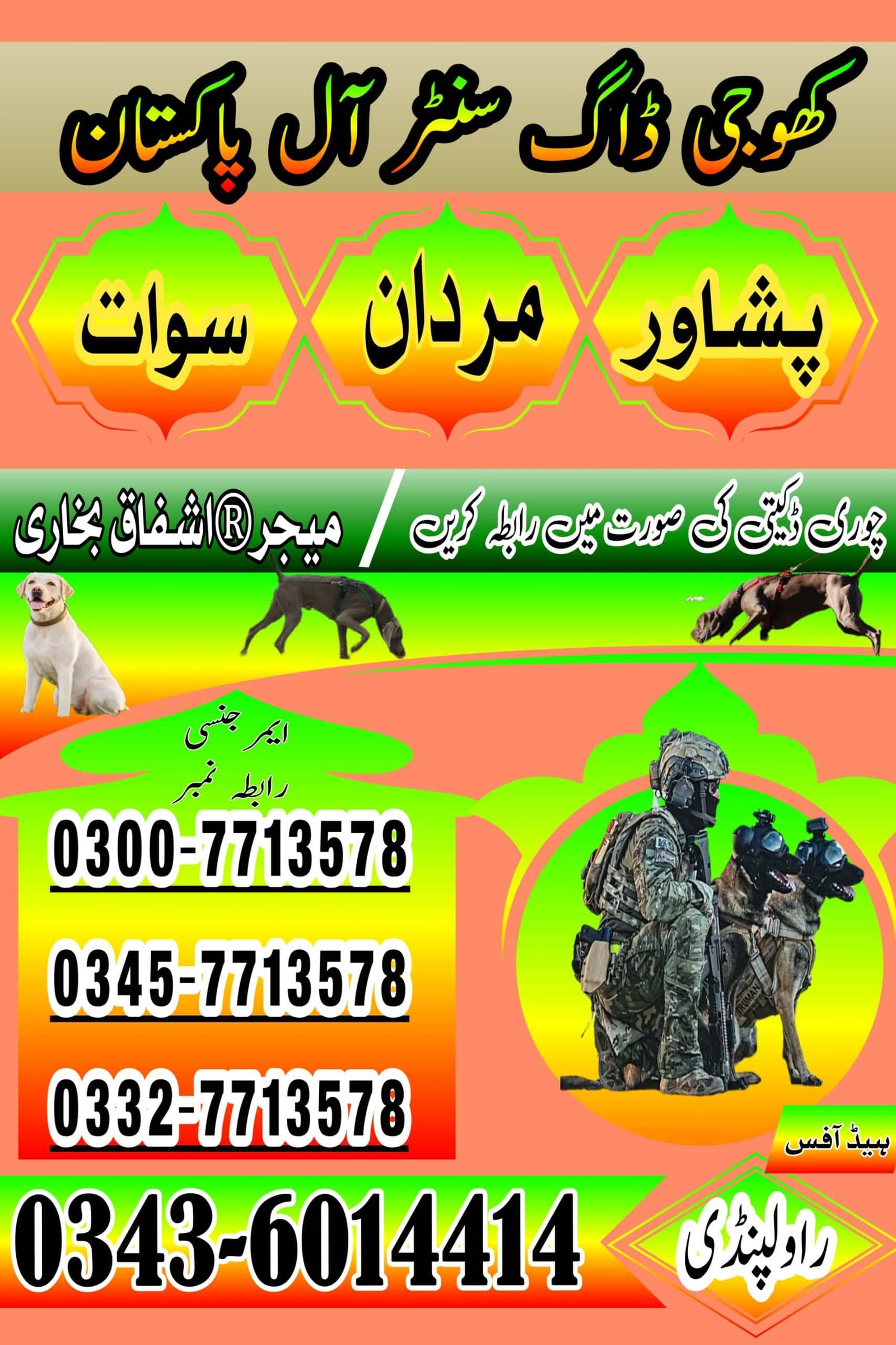 Khoji Dog Rawalpindi Contact Number 0300-7713578