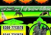 Khoji Dog Rawalpindi Contact Number 0300-7713578