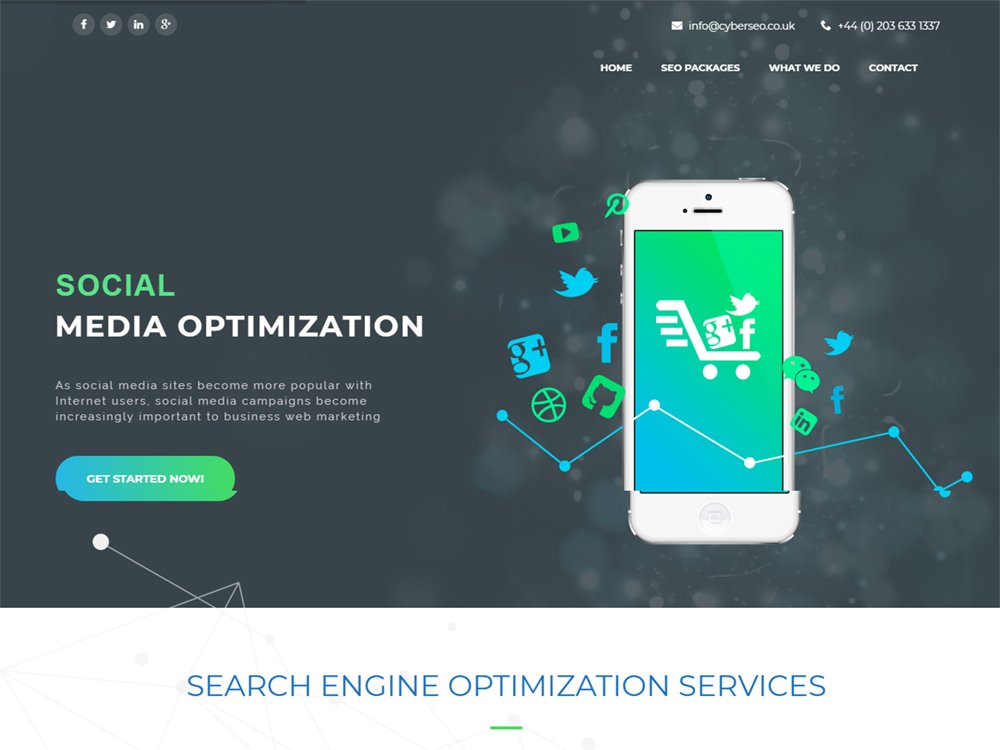 Website & Software Development