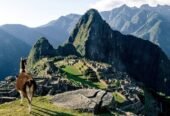 Machu Picchu 1 Day Tour from Cusco