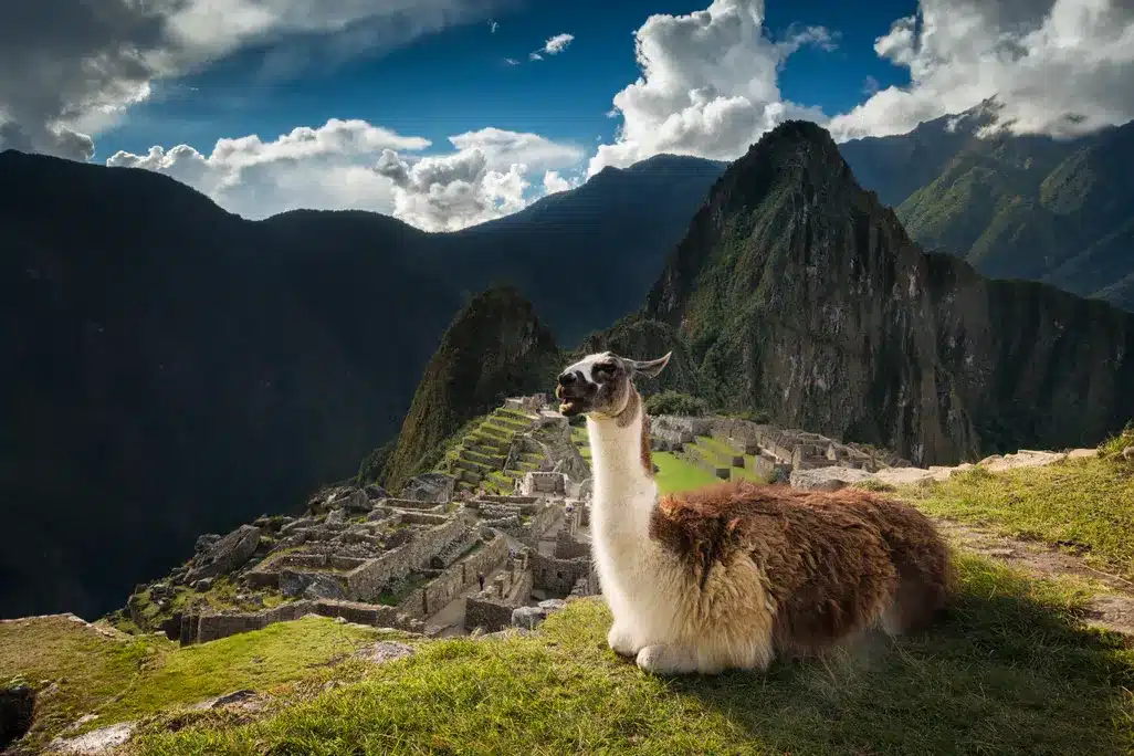 Machu Picchu 1 Day Tour from Cusco