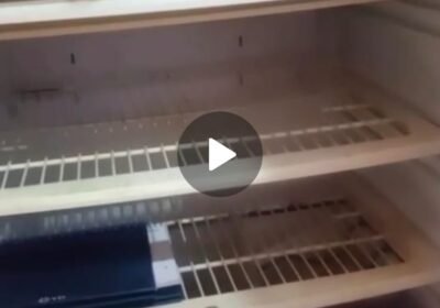 2d3851a1-cf3c-4a5f-81c4-7a9aec65ec24