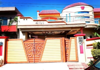 WhatsApp-Image-2020-12-27-at-2.43.02-PM-10