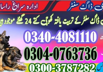 facebook-page-cover-1764996422903