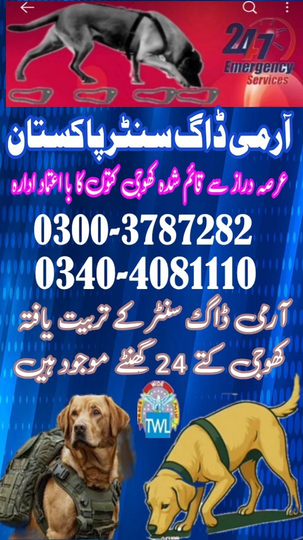 Army Dog Center thatta 03040763736