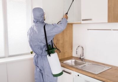 pestcontrolservices.pk_